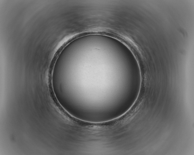 X0000115611412200911101417