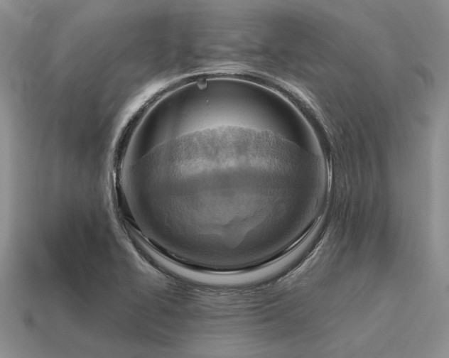 X0000115611414200911101417