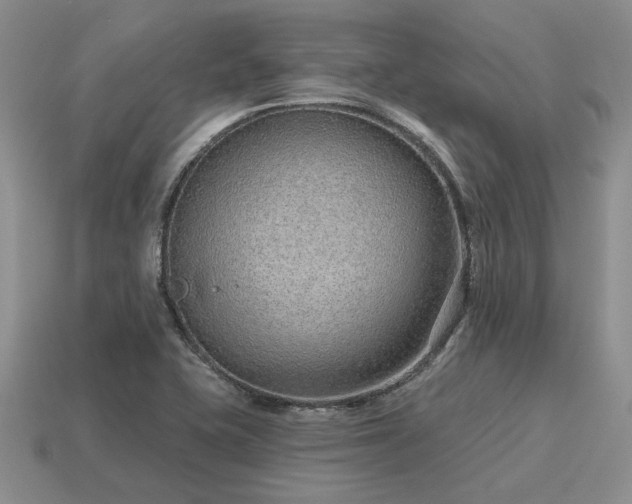 X0000115611415200911101417