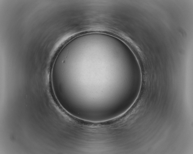 X0000115611416200911101417