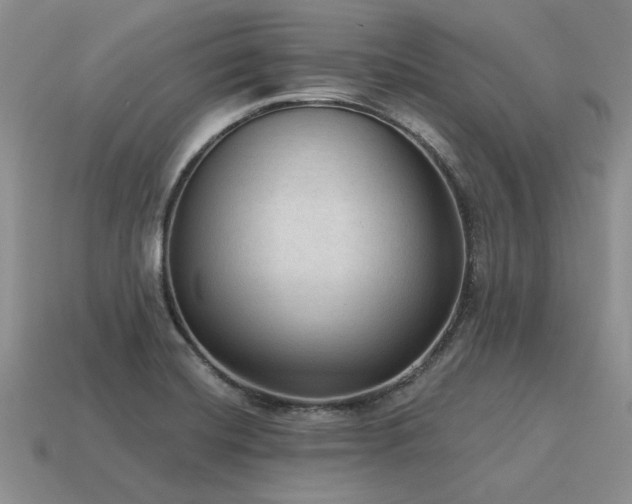 X0000115611420200911101417