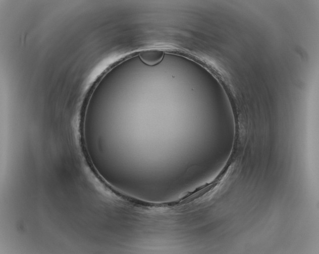 X0000115611422200911101417