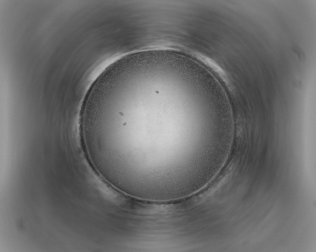 X0000115611423200911101417