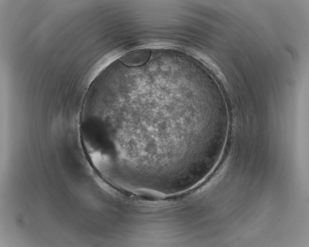 X0000115611425200911101417