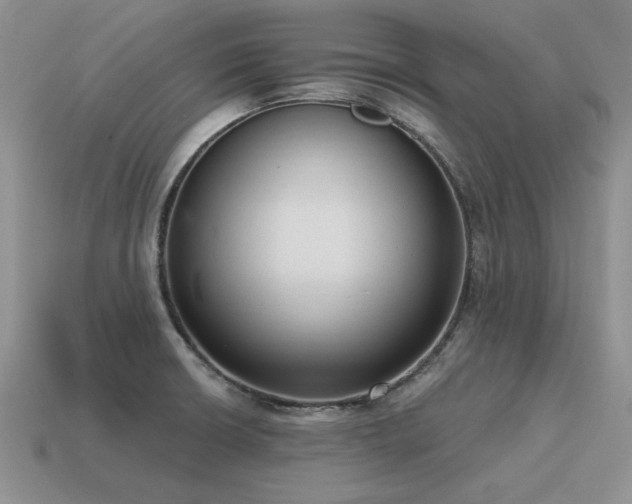 X0000115611426200911101417
