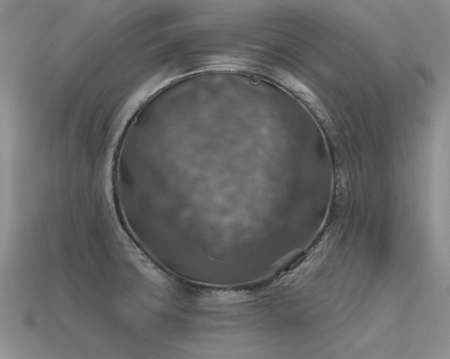 X0000115611427200911101417