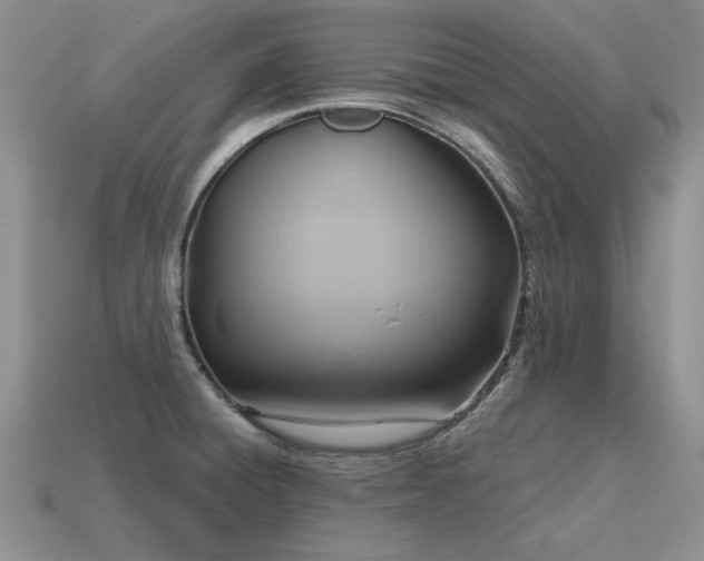 X0000115611428200911101417