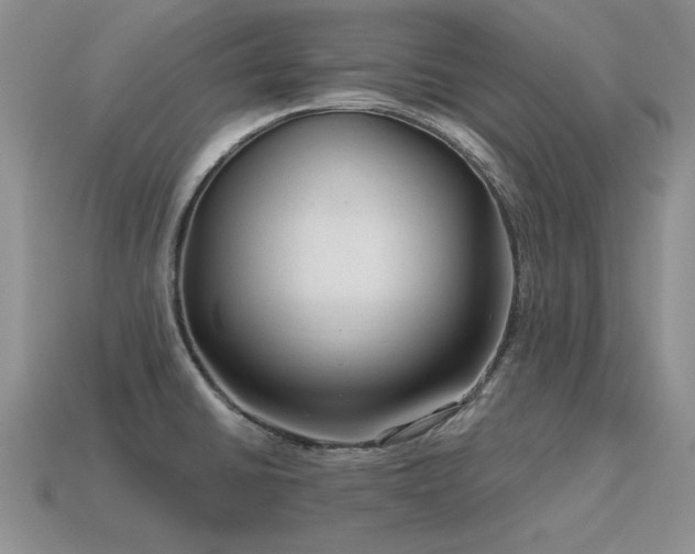 X0000115611430200911101418