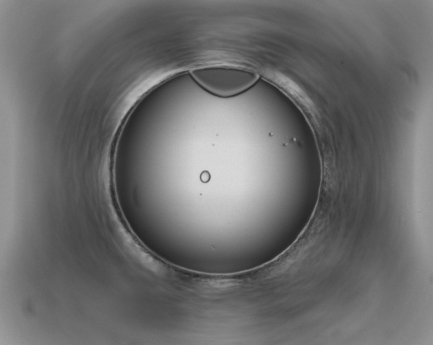 X0000115611431200911101418