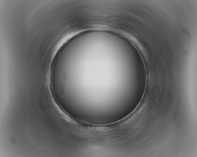X0000115611432200911101418