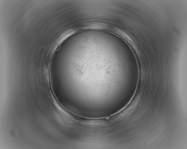 X0000115611433200911101418