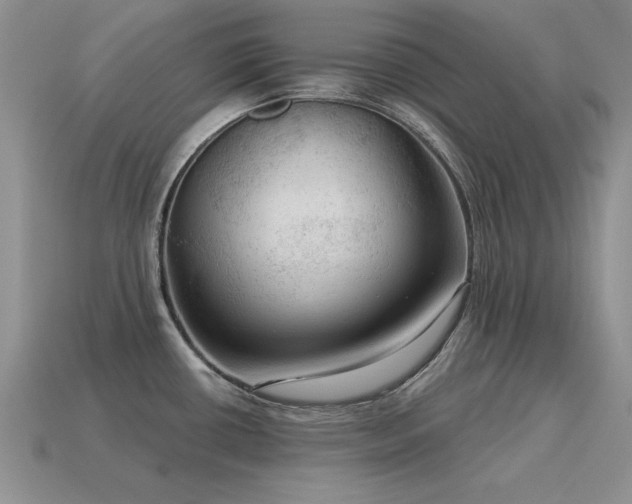 X0000115611434200911101418