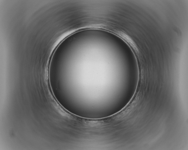 X0000115611436200911101418