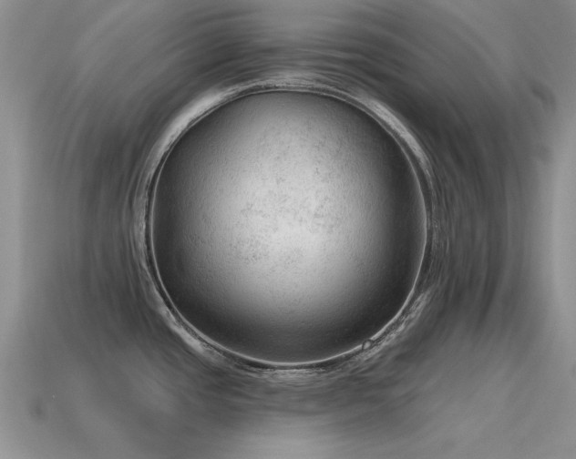 X0000115611437200911101418