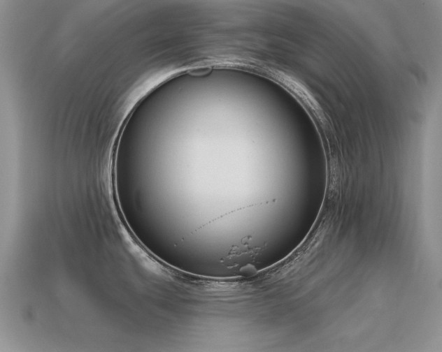 X0000115611439200911101418