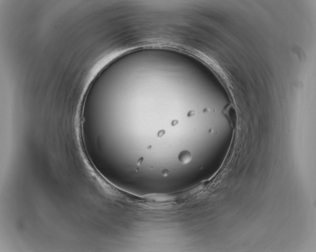 X0000115611440200911101418