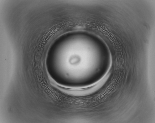 X0000115611441200911101417