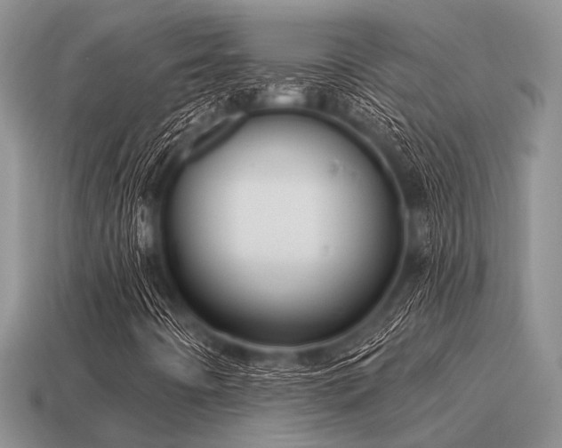 X0000115611442200911101417