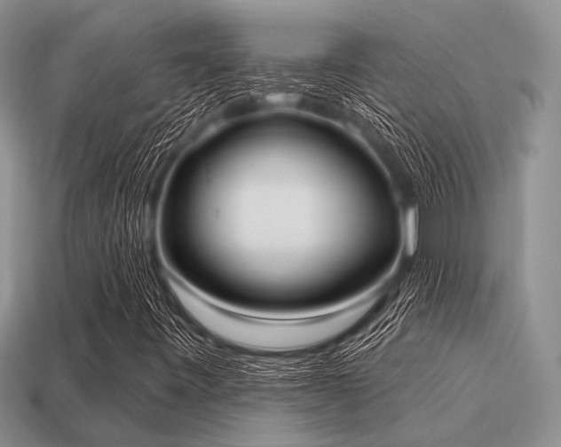 X0000115611443200911101417