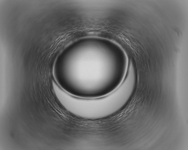 X0000115611444200911101417