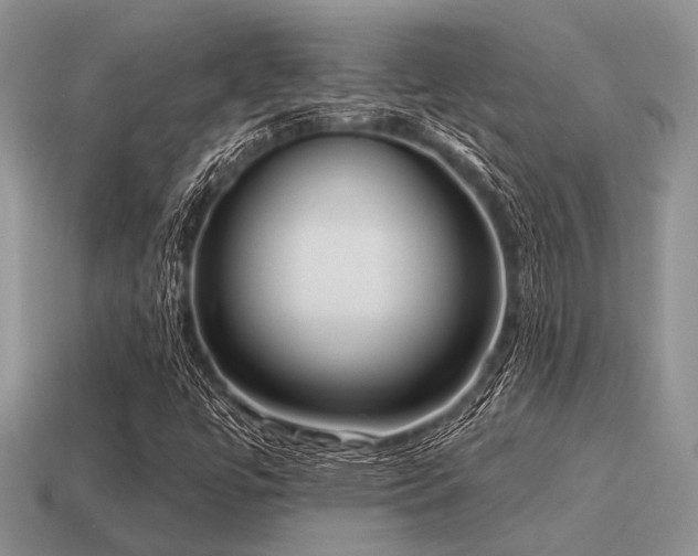 X0000115611447200911101417