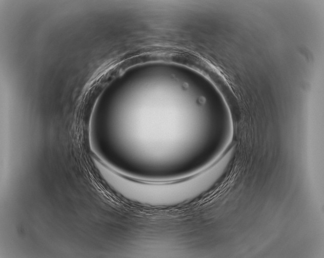 X0000115611448200911101417