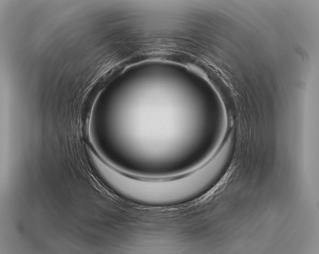 X0000115611449200911101417