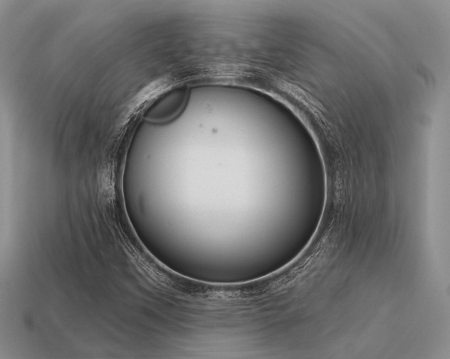 X0000115611451200911101417