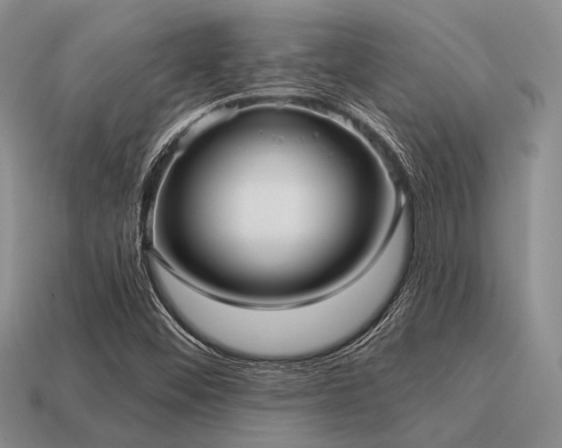 X0000115611452200911101417