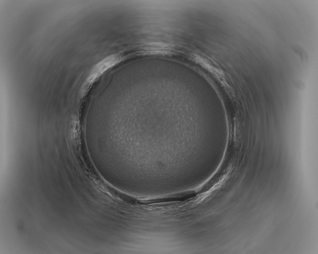 X0000115611453200911101417