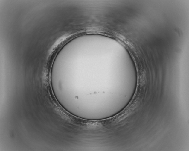 X0000115611454200911101417