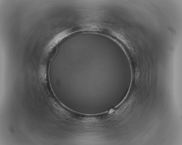 X0000115611455200911101417