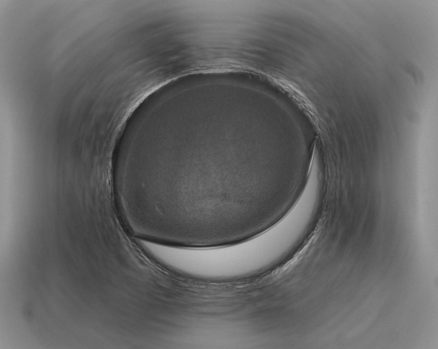 X0000115611457200911101417