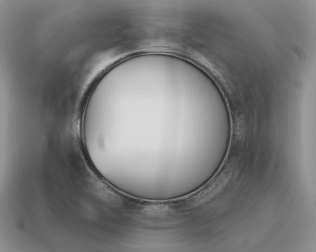 X0000115611462200911101417