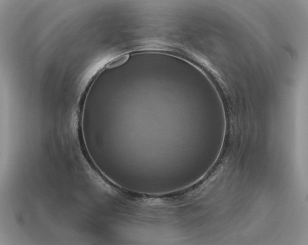 X0000115611463200911101417