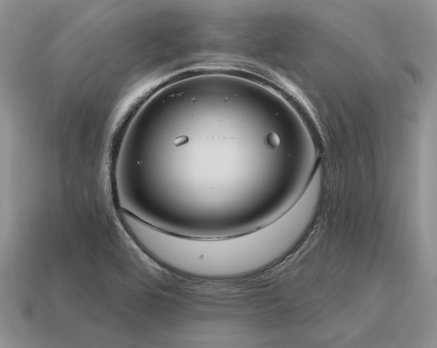 X0000115611464200911101417