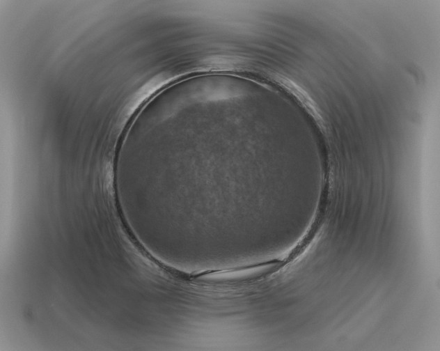 X0000115611465200911101417