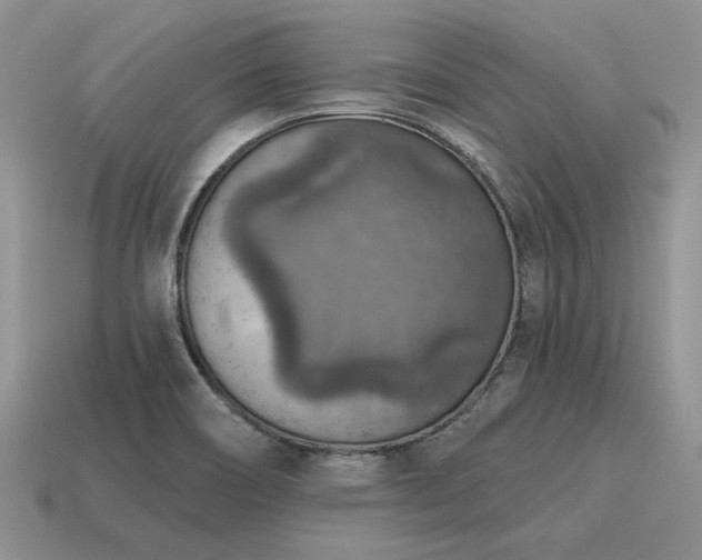 X0000115611466200911101417