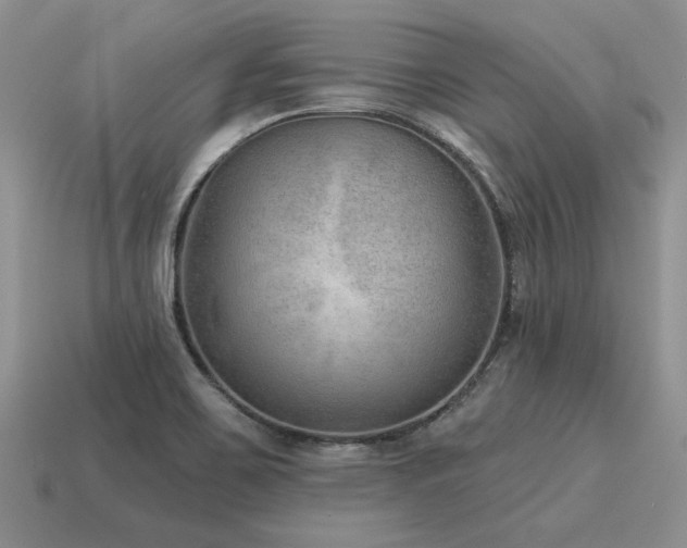 X0000115611467200911101417