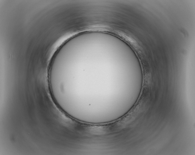 X0000115611470200911101417