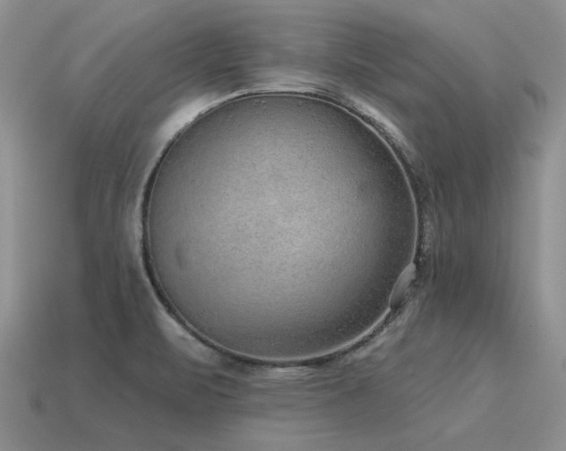 X0000115611471200911101417