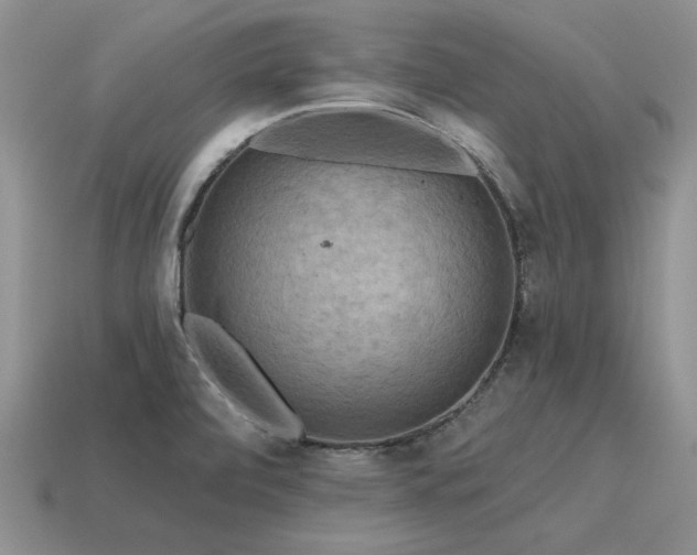 X0000115611472200911101417