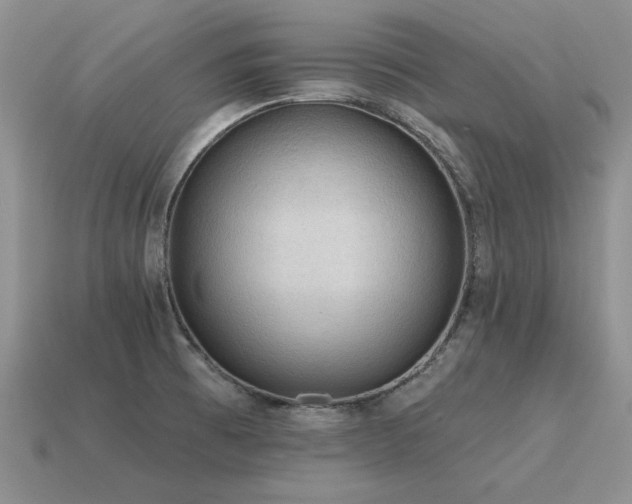 X0000115611473200911101417