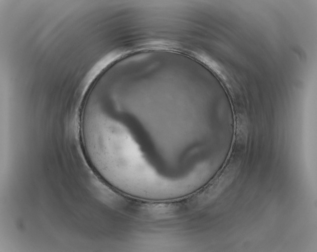 X0000115611474200911101417
