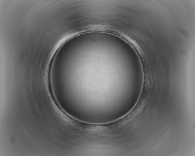 X0000115611475200911101417