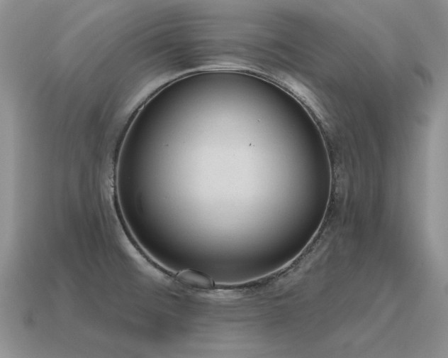X0000115611476200911101417
