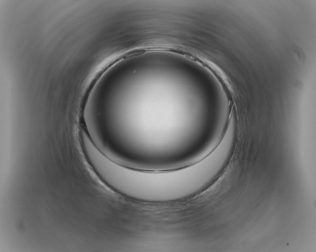X0000115611477200911101417