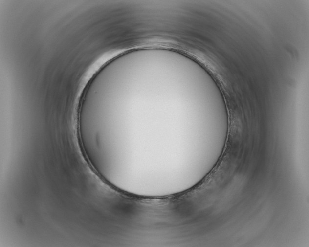 X0000115611478200911101417