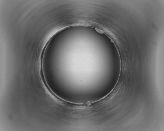 X0000115611479200911101417