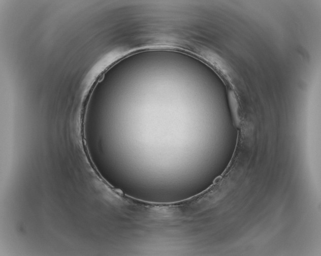 X0000115611480200911101417